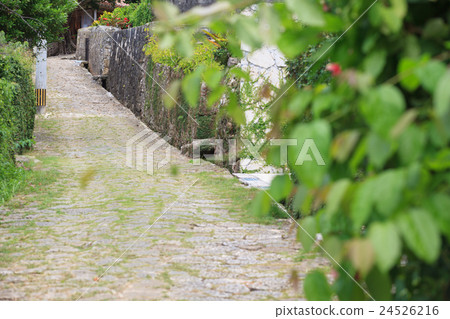 Shuri Kinjo Town cobblestone road 24526216