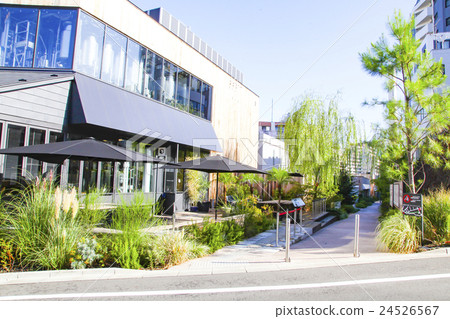 代官山的街道 24526567