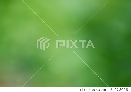 Background green 24528098