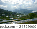 Early morning slope rice terrace 1 24529000