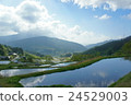 Early morning slope rice terrace 3 24529003