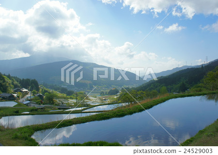 清晨坡米梯田3 清晨坡米梯田3 24529003