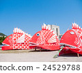 海鯛節 24529788