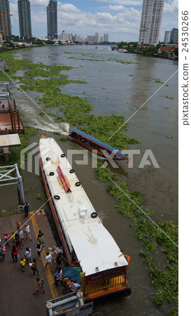 昭披耶河曼谷的碼頭2016年 24530266