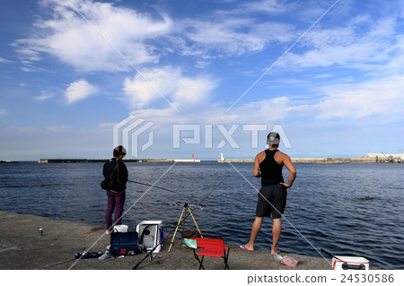 Misaki港的漁夫 24530586