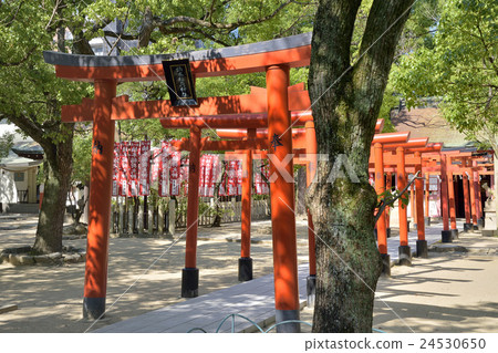 Kusumoto Inari神社 24530650