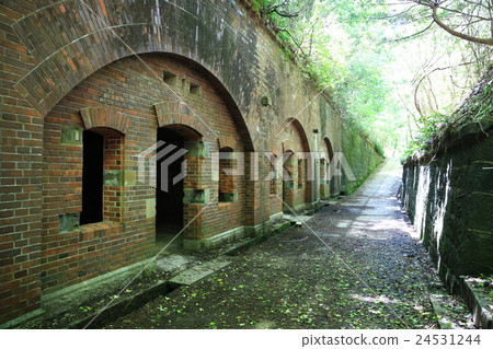 Tomogashima 24531244