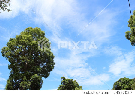 Blue sky Blue sky 24532039