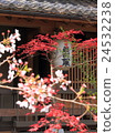 Katsukenji 24532238