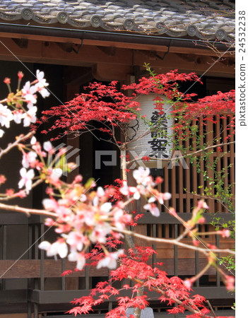 Katsukenji Katsukenji 24532238