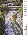 Katsukenji 24532240