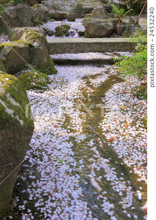 Katsukenji Katsukenji 24532240