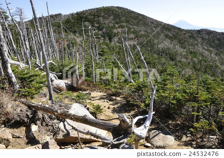 Okuchi的條紋枯萎病和北Okudosakidake和富士山 24532476