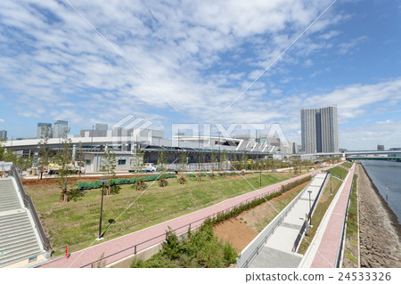 Toyosu Market 24533326