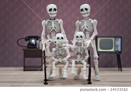 A vintage skeleton family portrait 24533582