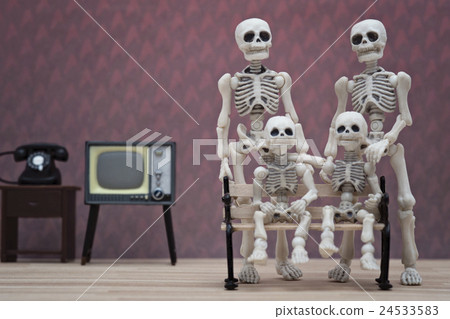 A vintage skeleton family portrait 24533583