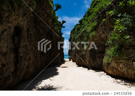 沖繩縣Bise的Walmi 24533856