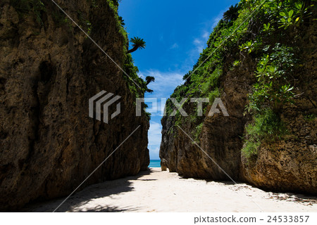 Walmi of Bise, Okinawa Prefecture 24533857
