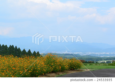 Ikoma Plateau 24533935