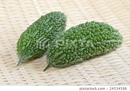 Tsurushi（goya） 24534586