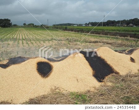 燒稻殼的風景 24535448
