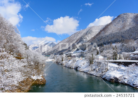 Scenery of the Shinkawa / Hikoshige ginkgo line in winter 24535721