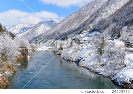 Scenery of the Shinkawa / Hikoshige ginkgo line in winter 24535723