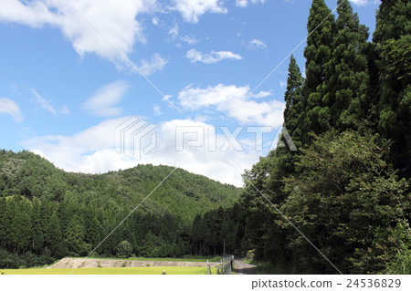 大谷谷白山神社(福井縣胜山市平泉町大谷) 大谷谷白山神社(福井縣胜山市平泉町大谷) 24536829