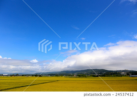 Takasuyama of Hitachi City 24537412