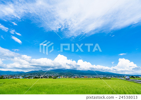 [長野縣]鄉村景觀和夏日的天空 24538013