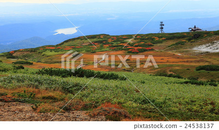 Autumn leaves Asahidake view Autumn leaves Asahidake view 24538137