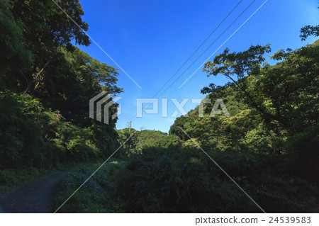 Early summer of Koashiro Bay 24539583