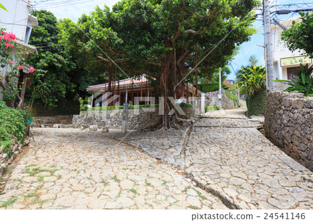 Shuri Kinjo Town cobblestone road 24541146