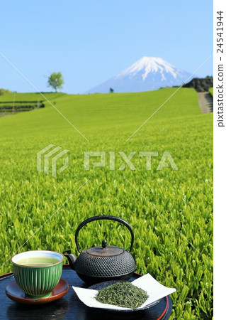 新的綠茶田和新茶和富士山 新的綠茶田和新茶和富士山 24541944