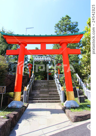 八幡宮 八幡宮 24542825