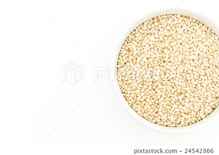 Germination Quinoa: Sprouted Quinoa 24542866