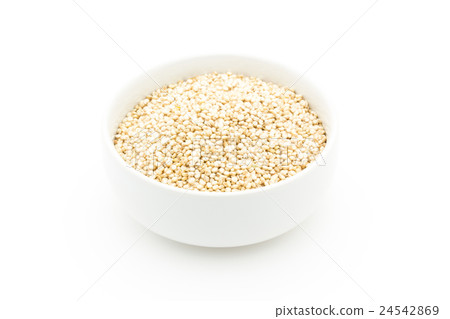 Germination Quinoa: Sprouted Quinoa 24542869