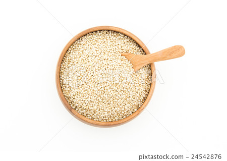 Germination Quinoa: Sprouted Quinoa Germination Quinoa: Sprouted Quinoa 24542876