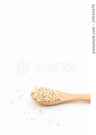發芽奎奴亞藜：發芽的藜麥 24542879