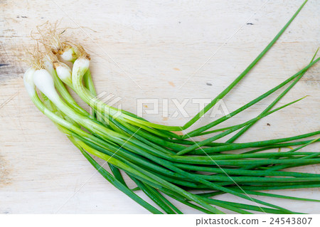 Onion 24543807