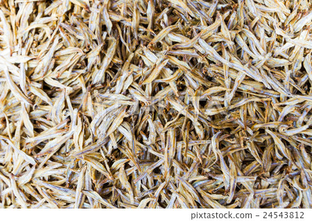 Dried anchovies fish famous seafood Thailand Dried anchovies fish famous seafood Thailand 24543812