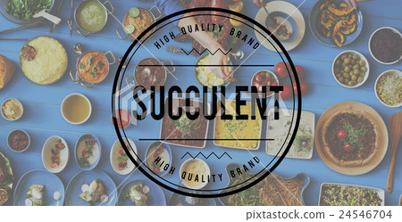 Tasty Yammy Succulent Food Meal Concept Tasty Yammy Succulent Food Meal Concept 24546704