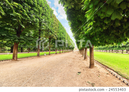 Luxembourg Palace and park in Paris 24553403