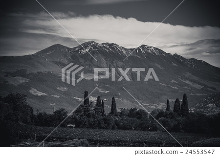 natural landscape of the Alps 24553547