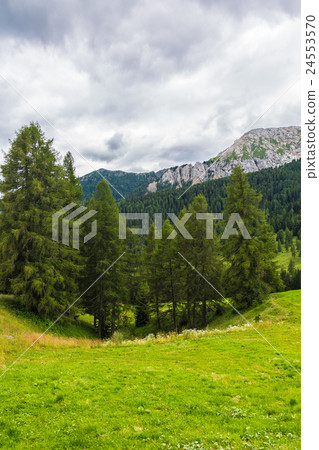 landscape of the Alps 24553570
