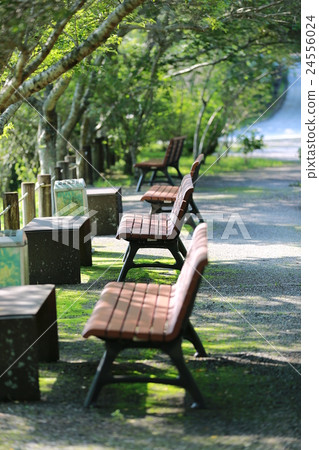 A rest 24556024
