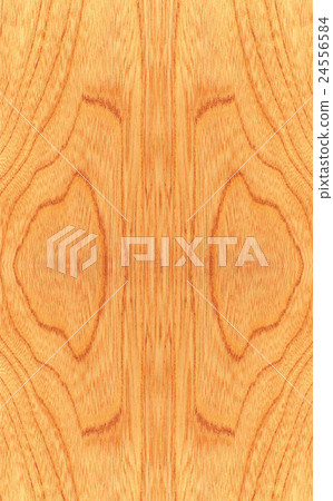 Texture of wood pattern background Texture of wood pattern background 24556584