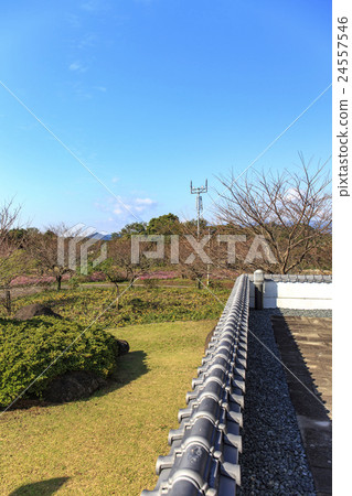 風景名勝竹崎城堡軌道觀景台佐賀縣塔拉町 24557546