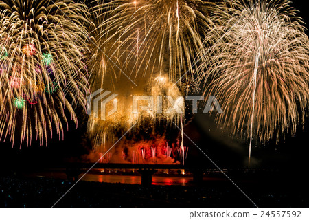 Fireworks of Niigata Prefecture Nagaoka Festival fireworks display 24557592