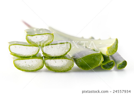 Aloe vera isolated on white Aloe vera isolated on white 24557934